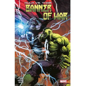 Hulk VS Thor Banner of war